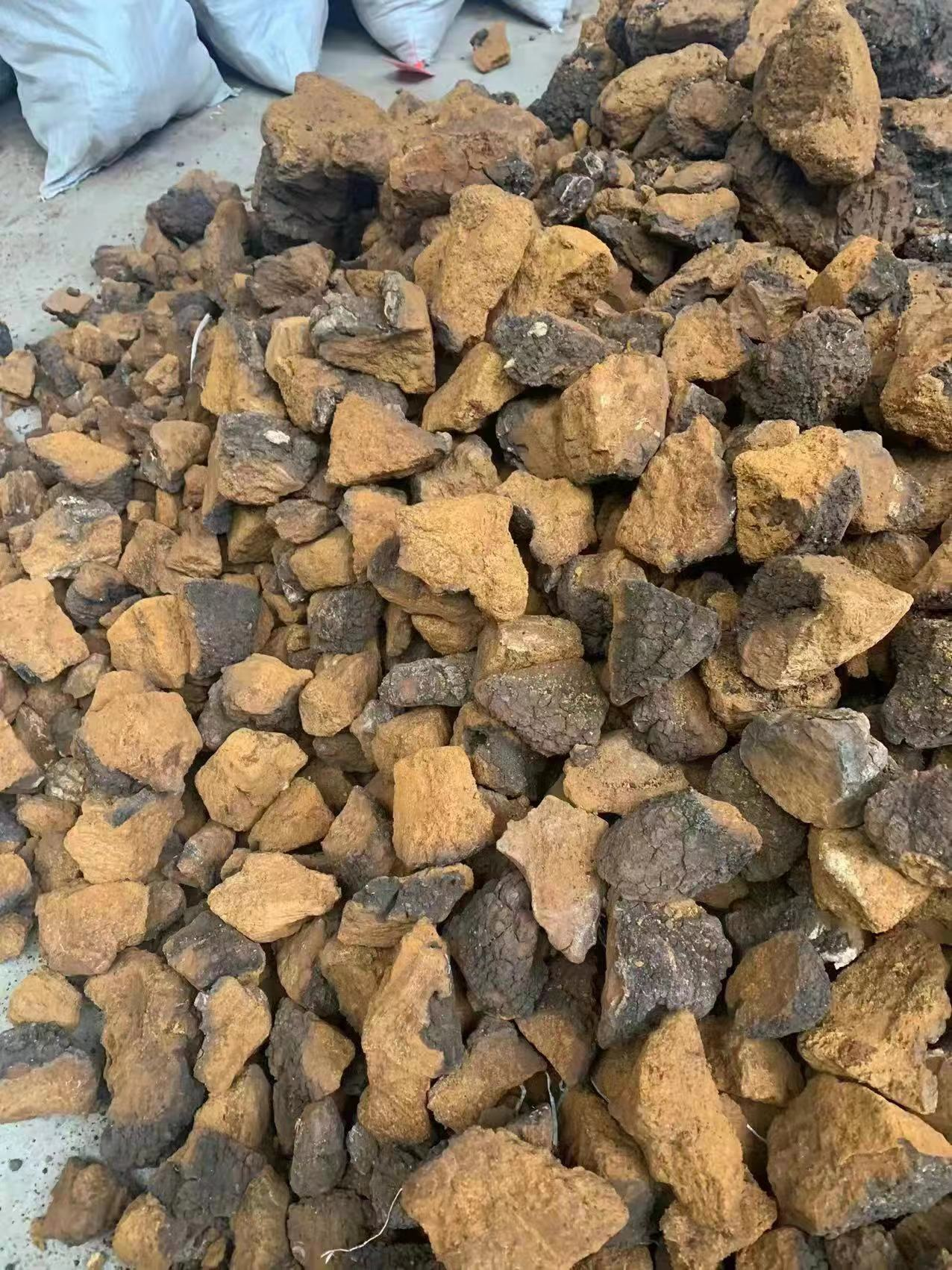进口俄罗斯桦树茸清关要办什么手续?