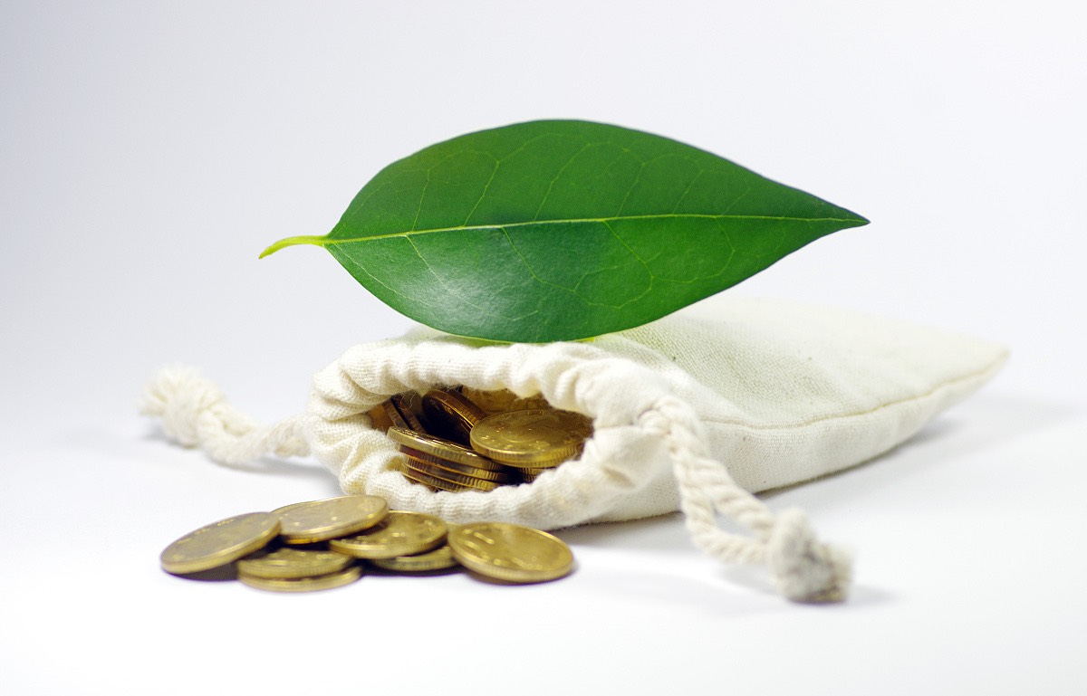 绿色基金网站建设流程步骤_(绿色基金网站建设流程步骤是什么)