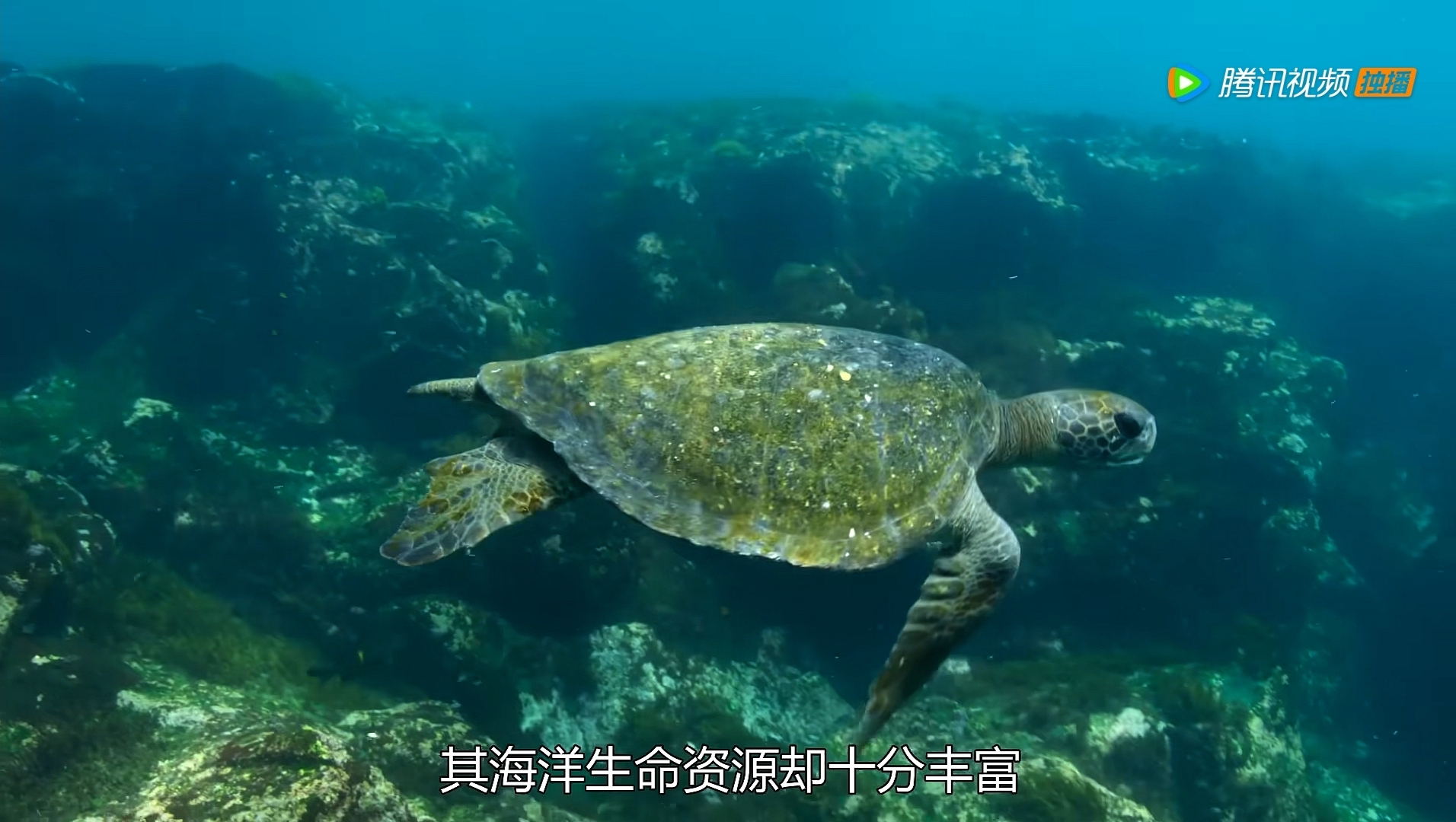 《地球脉动》人生必看的9.9分史诗级纪录片,领略大自然的魅力