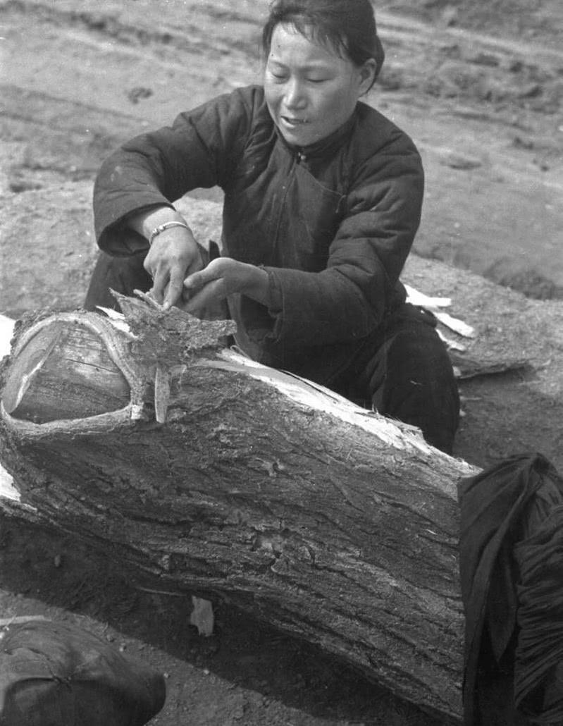 河南人,要不是你的祖辈在"河南大饥荒"中忍饥挨饿,也就没有你