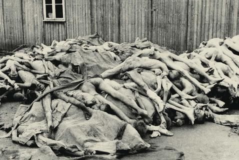 纳粹集中营床图片