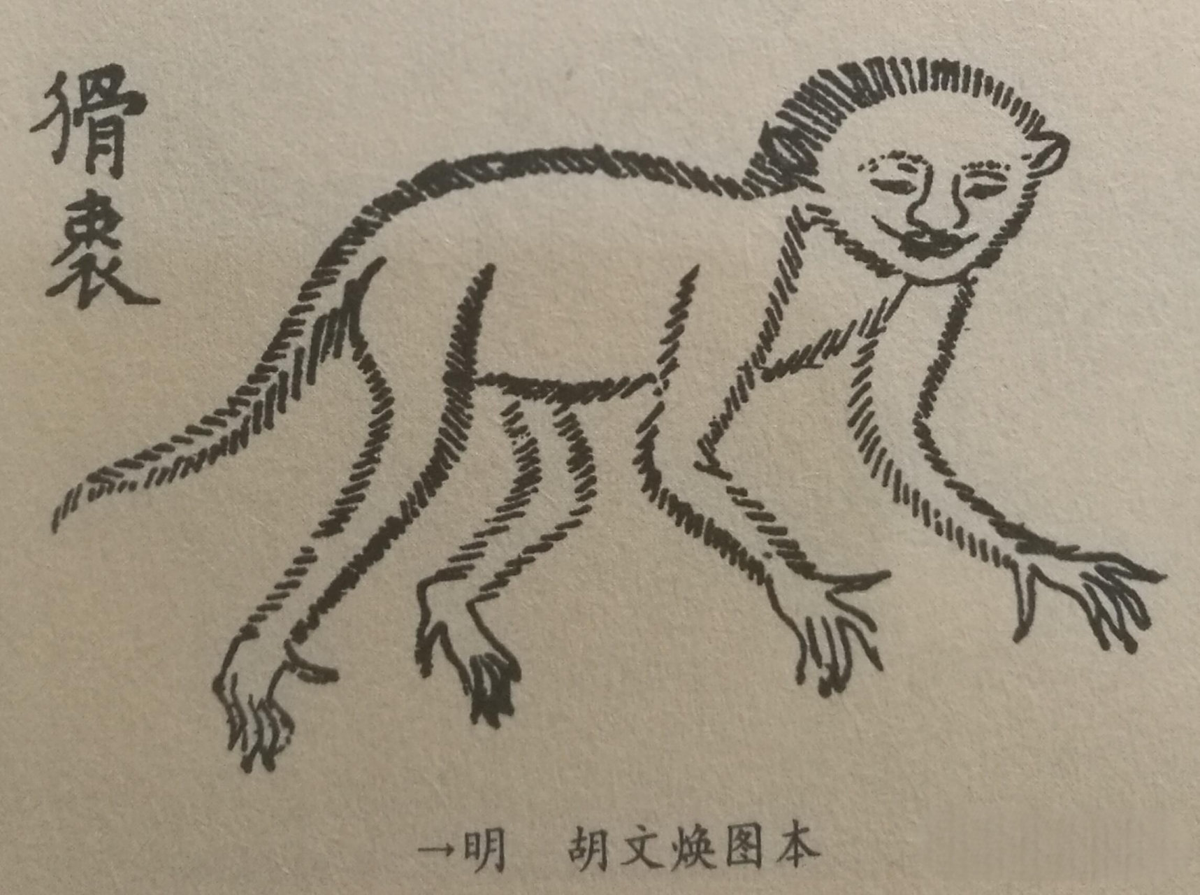 猾褢 (huá huái) 据南次二经所记,尧光山上有一种兽,名叫猾褢,它的