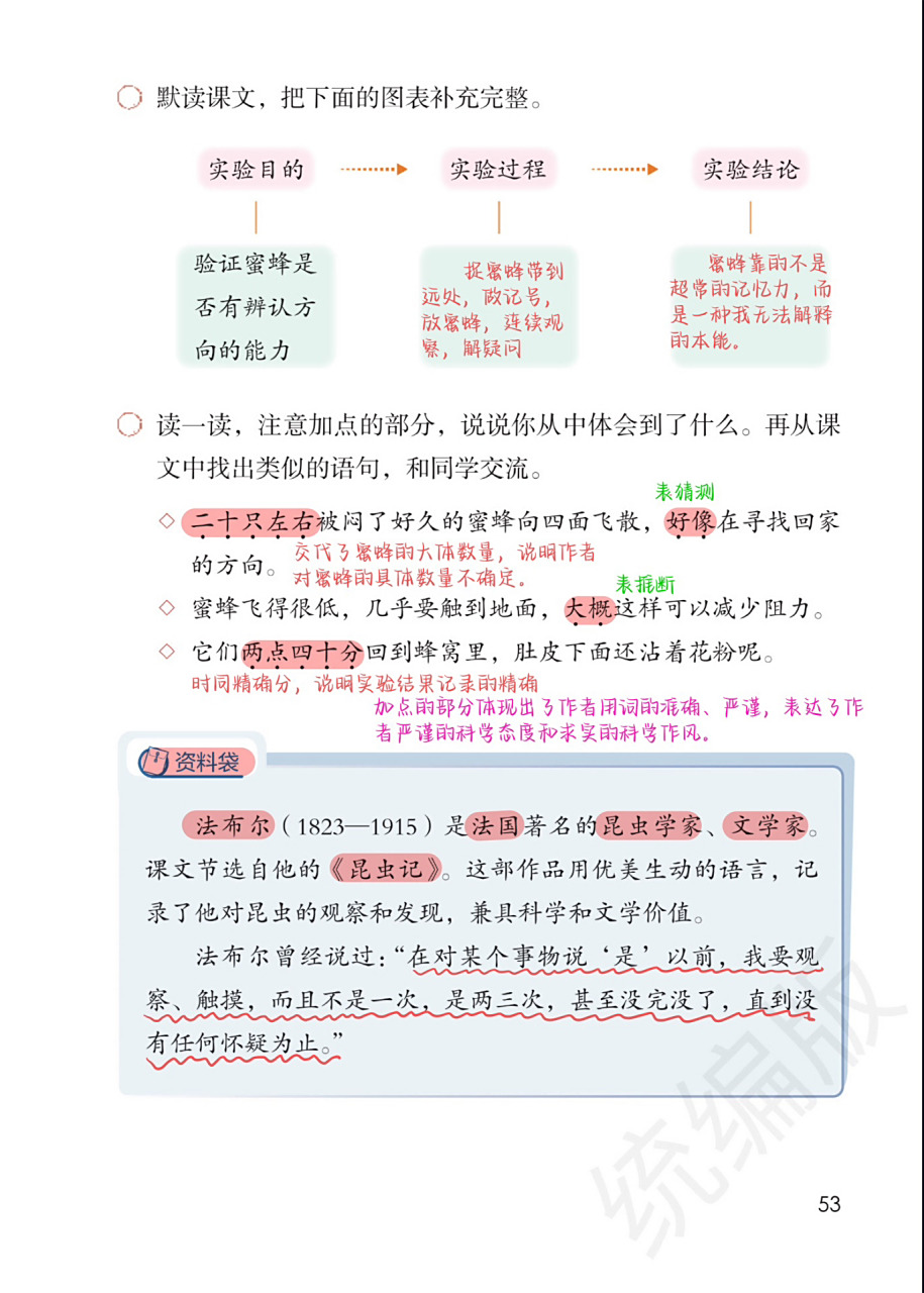 三下第14课《蜜蜂》备课笔记
