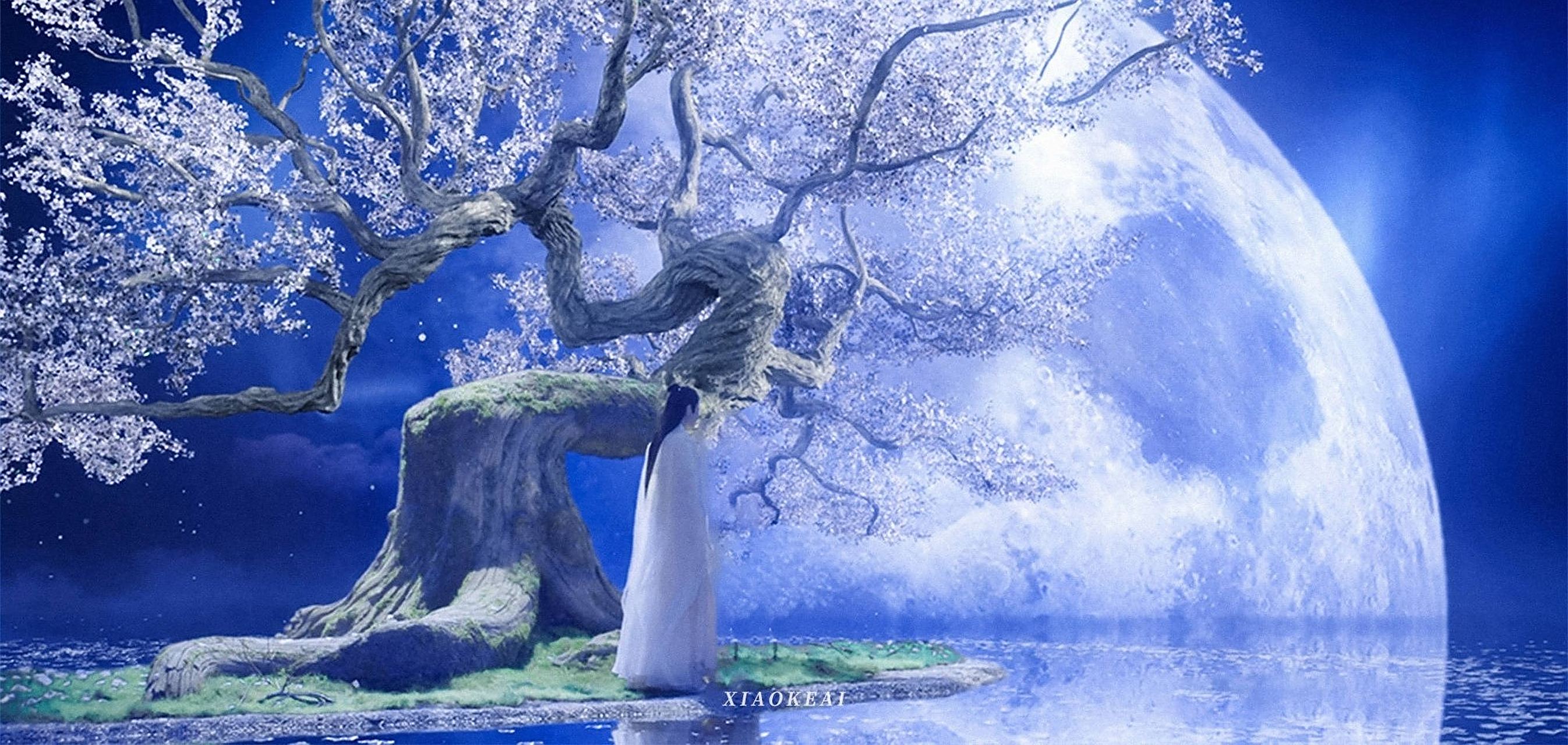 可能是因为我见过最好的,所以才那么挑剔吧,不论是