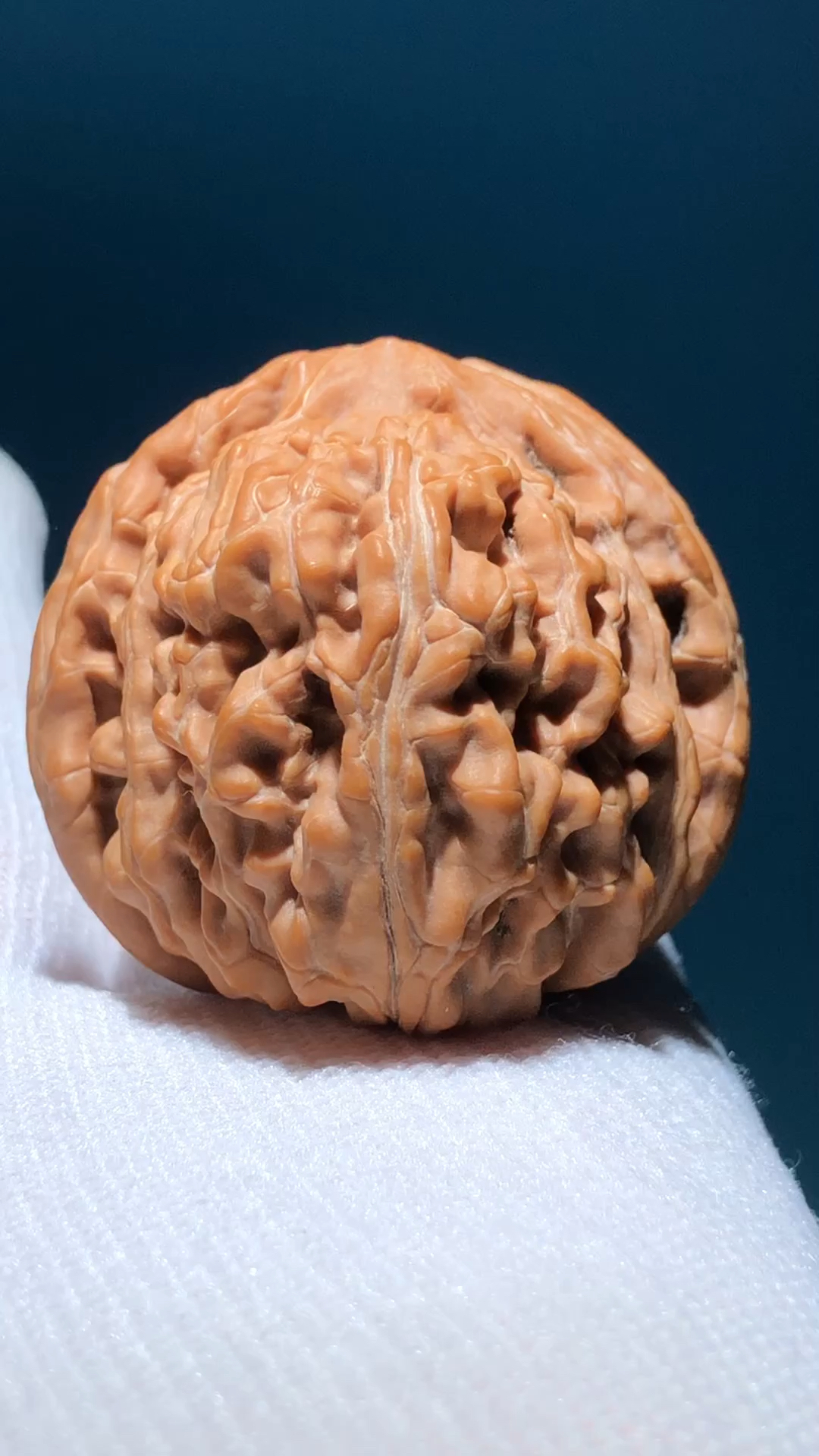 极品圆球四座楼狮子头