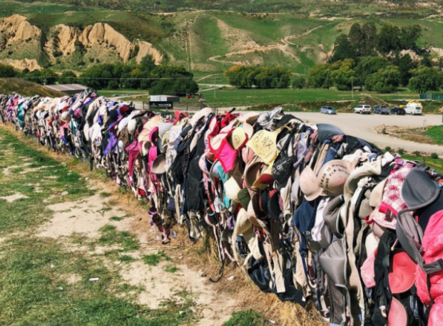 新西兰的"内衣墙",女性一到这就会脱掉内衣,男司机却要求拆除