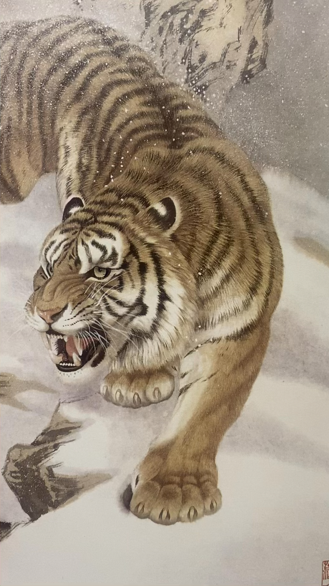 秦洪彬画工笔虎震撼来袭