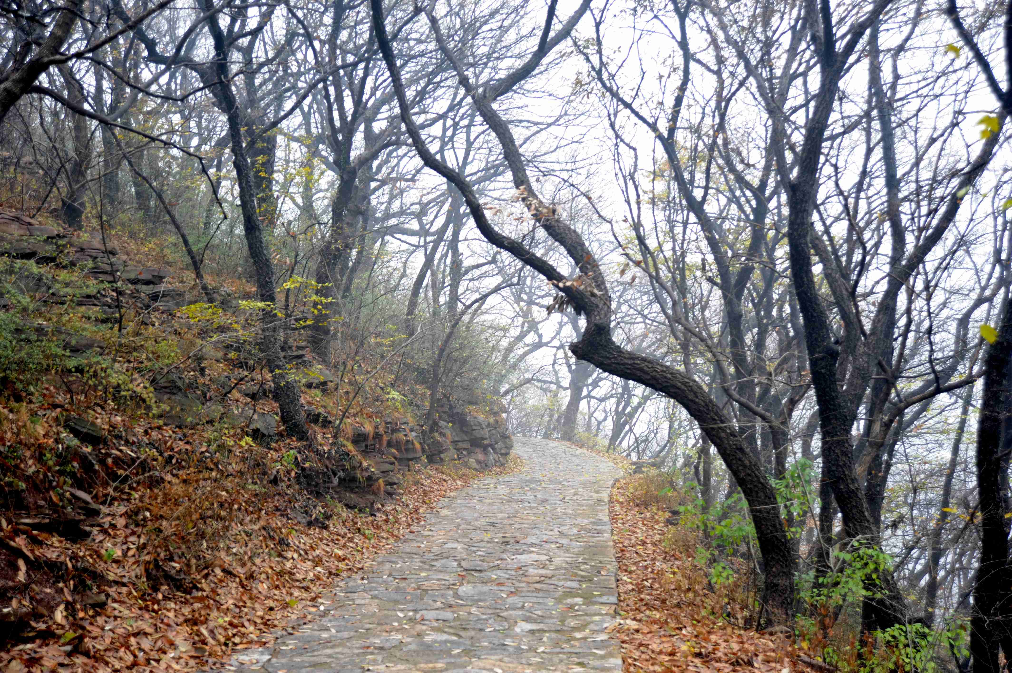 游遍中国——走进安徽萧县皇藏峪感受这里的自然与人文魅力