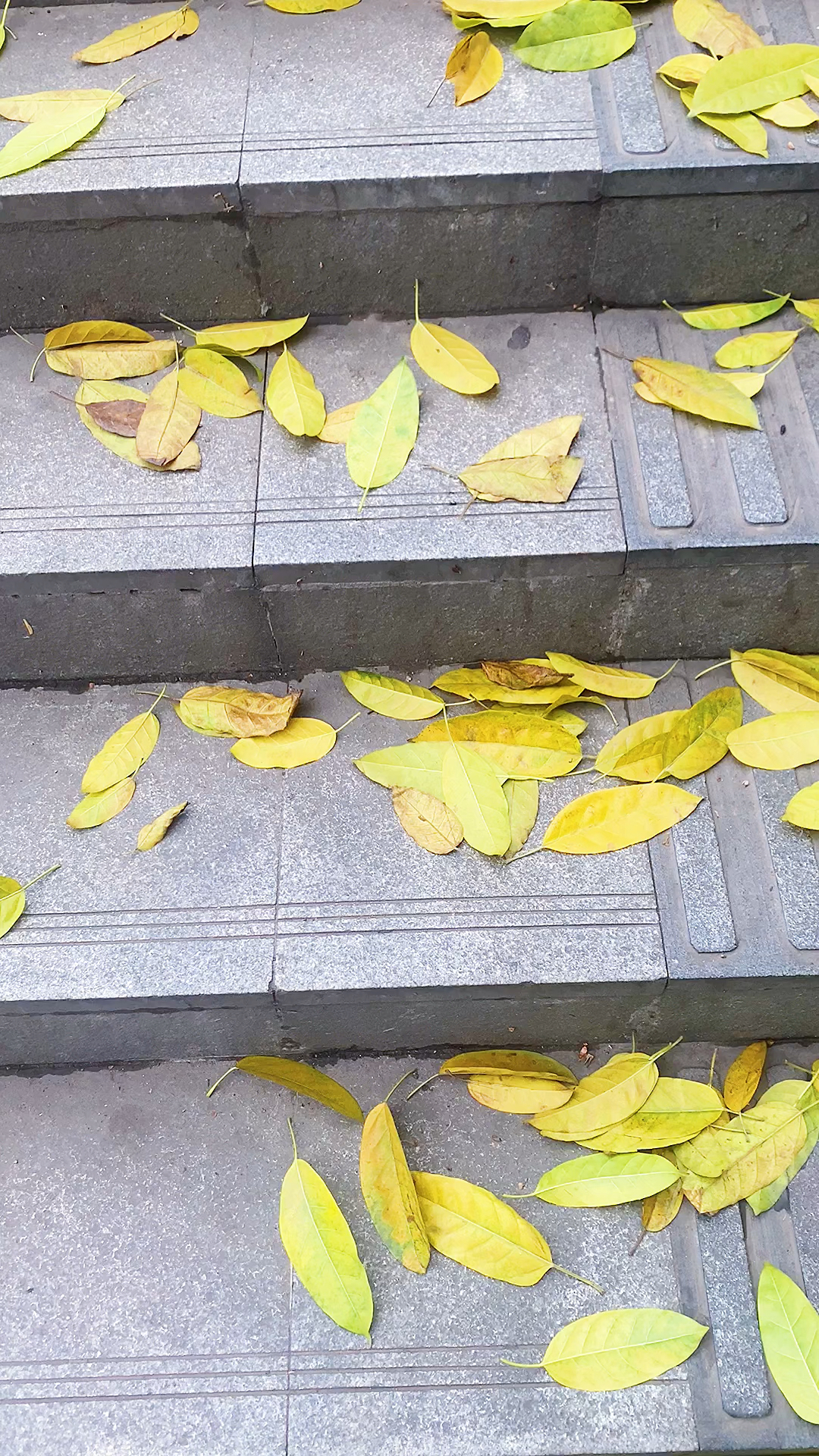 生命的意义是什么呢?