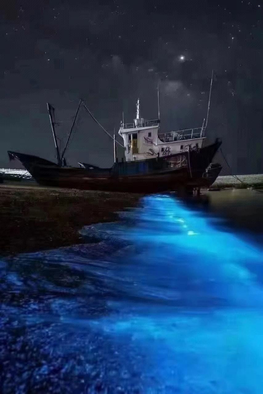 广东海陵岛海滩连日现"蓝眼泪","蓝眼泪"是一种生存在海中的微生物,当