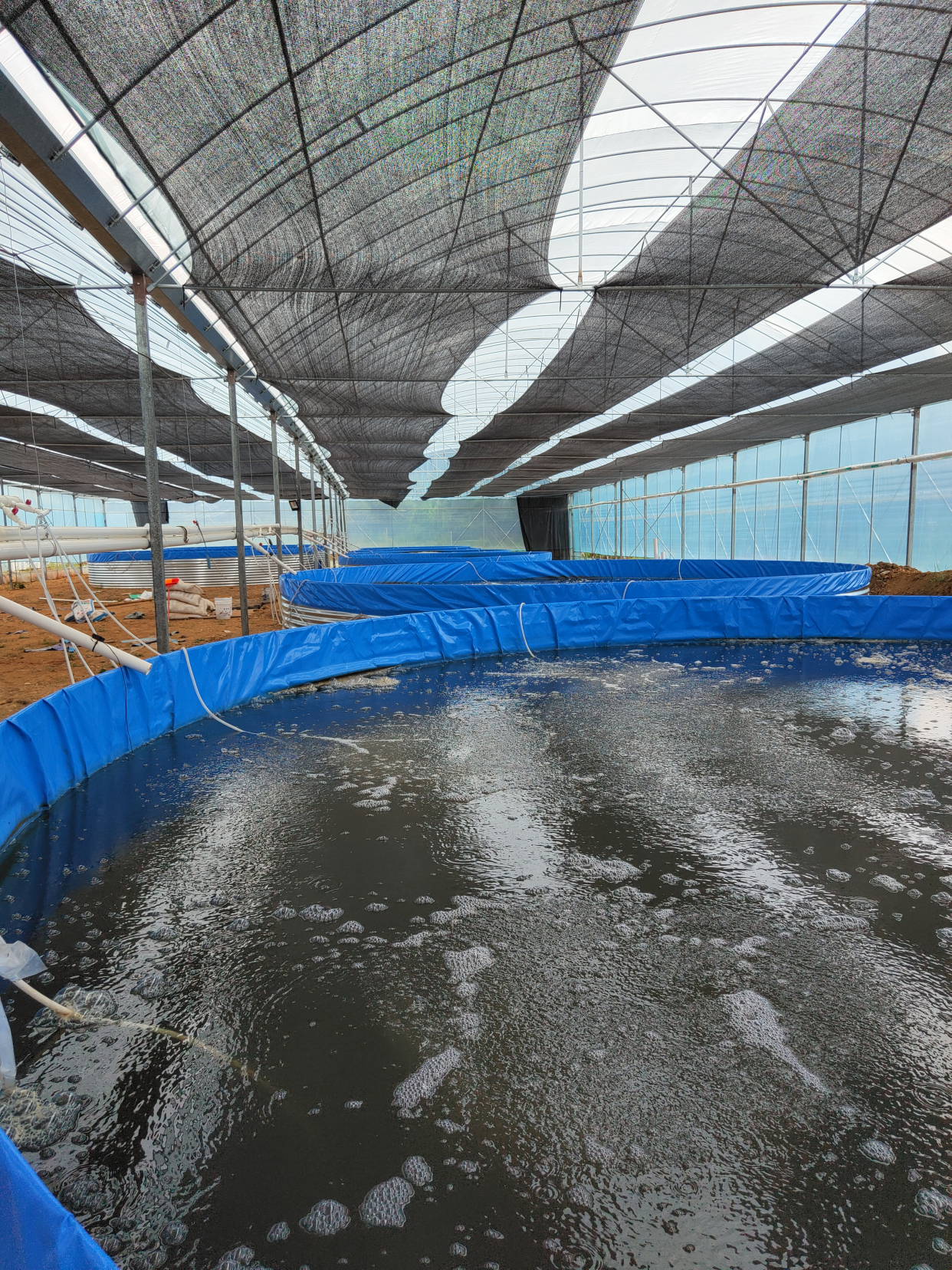 镀锌板帆布池之罗非鱼养殖基地