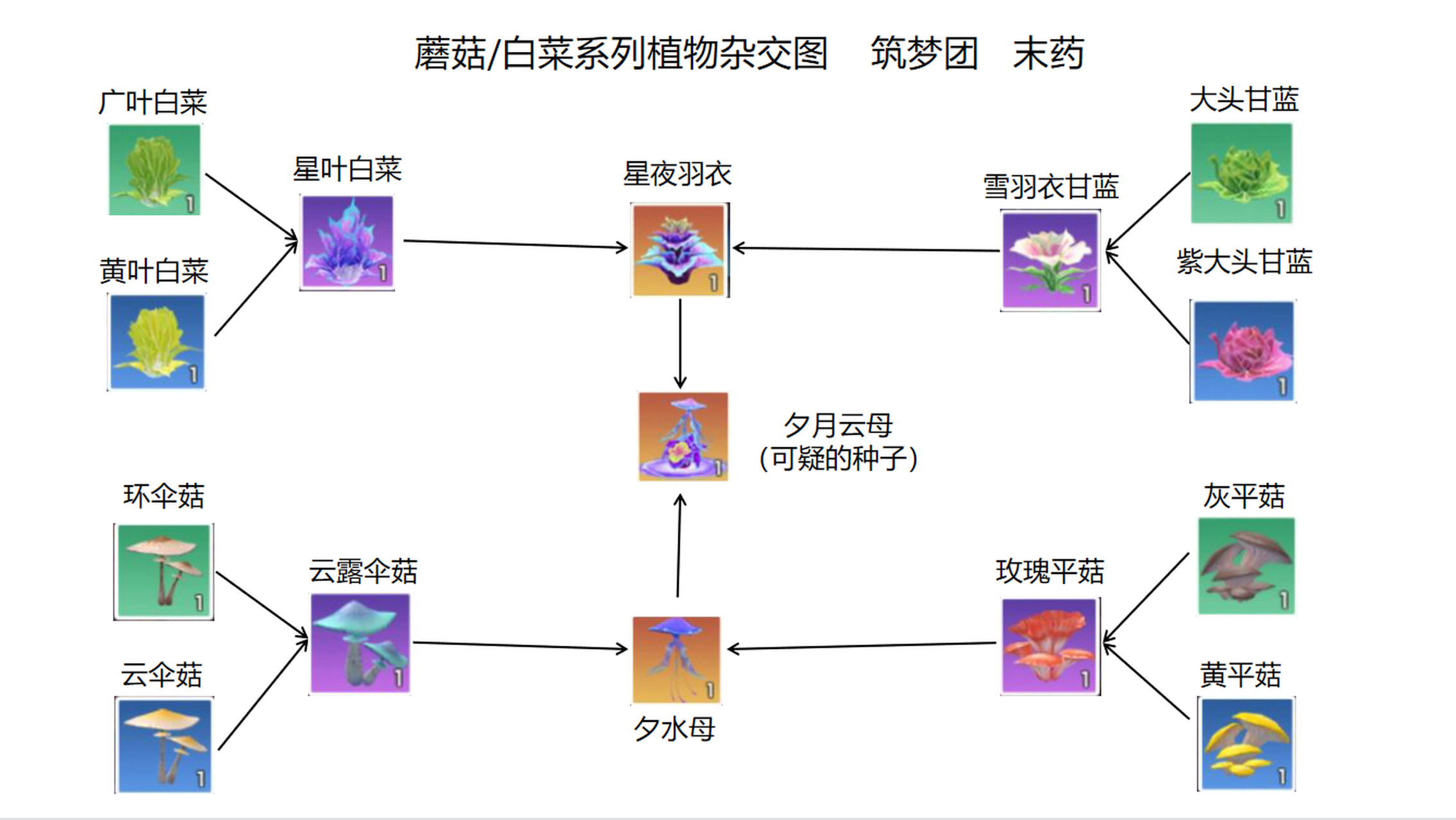 「创造与魔法」夕水母和星夜羽衣怎么放,杂交出夕月云母的概率高一些?