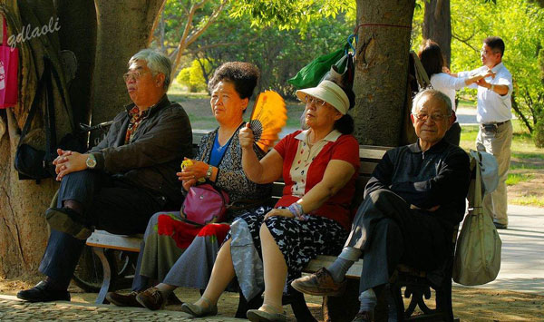 中国老年人数量