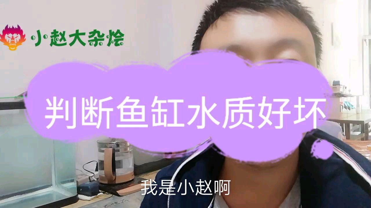 鱼缸水质浑浊的几种原因以及解决办法