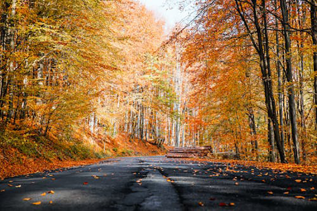 道路标志标线（道路上的标志和标线）