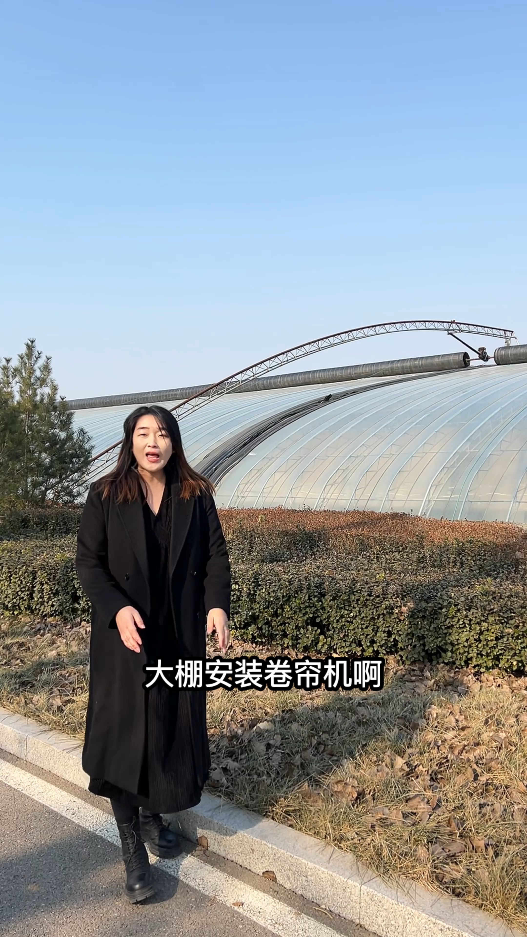 大棚安装卷帘机,可不能随随便便!#农业-度小视