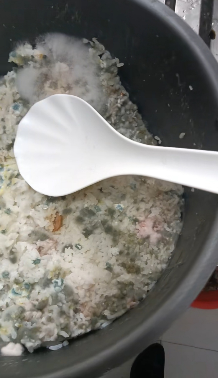 媳妇天天打麻将,我打工回家米饭都发霉了,她天天上餐馆吃饭,唉,你们谁