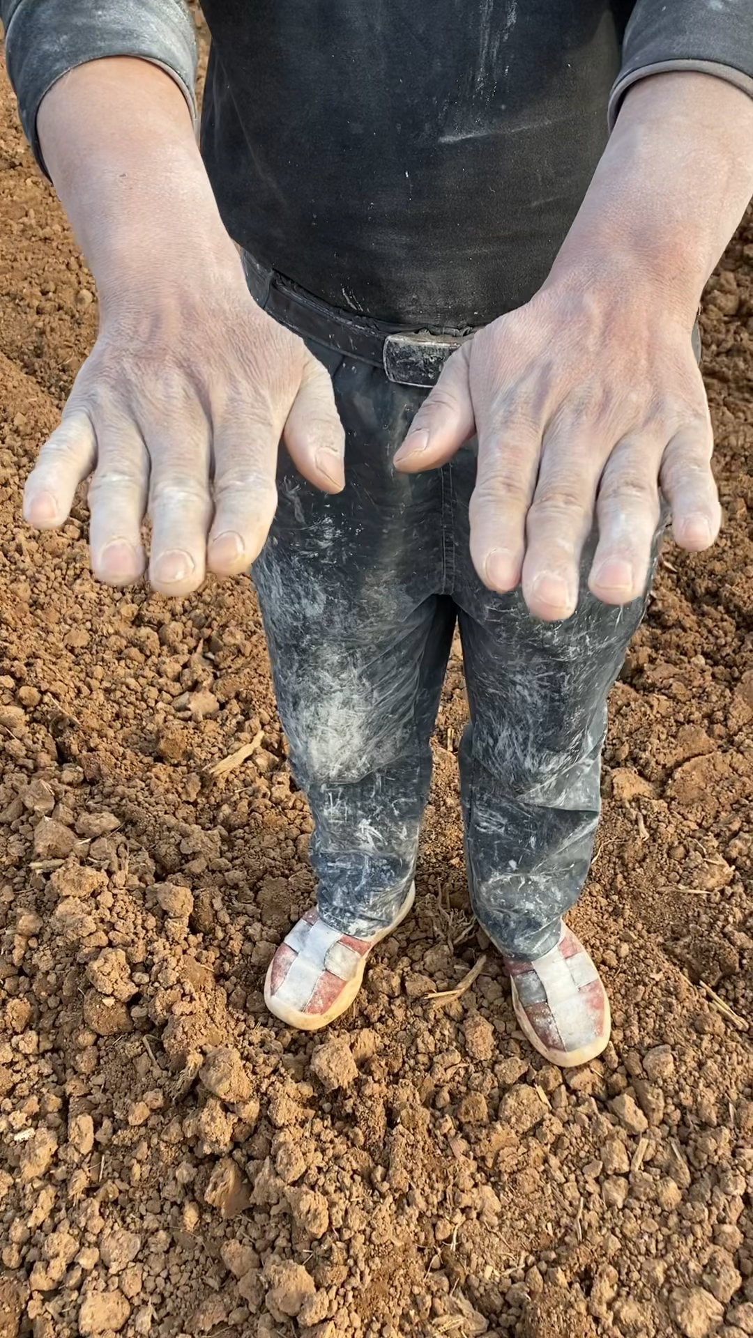 30多岁的年纪60多岁的手,这就是真实种地人的生活,加油农业人