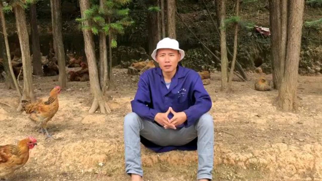 夏季养鸡多发的三种鸡病,学会了这些养鸡不用愁