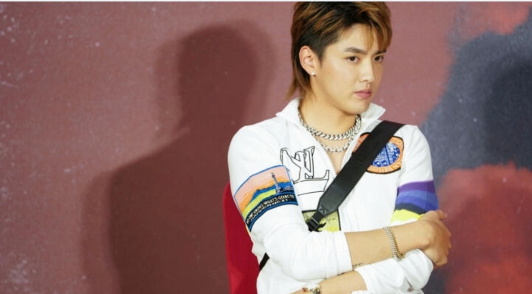 外媒关注加拿大人吴亦凡获刑13年一事