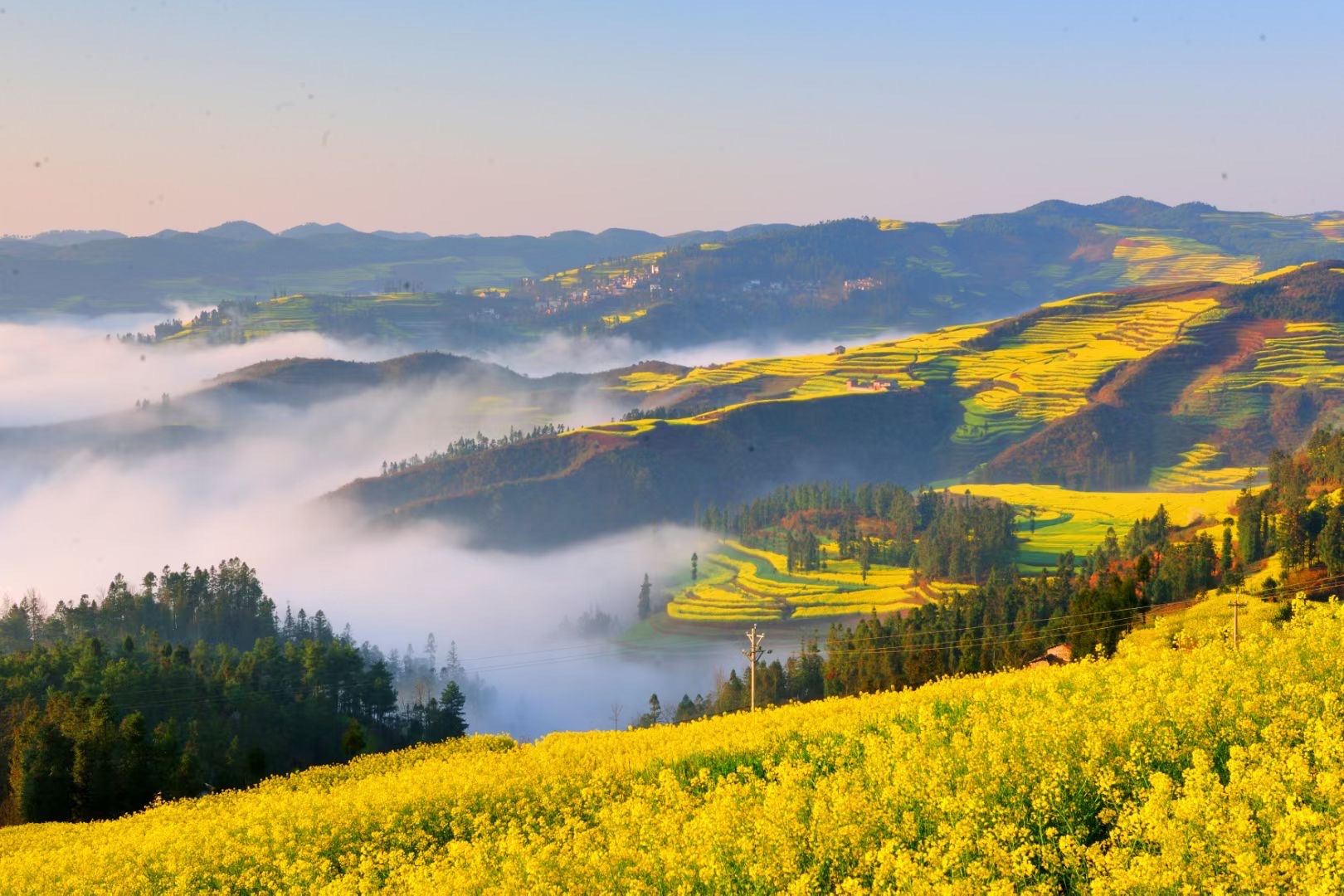 云南罗平油菜花梯田