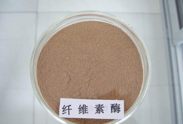 工业纤维素酶批发价格