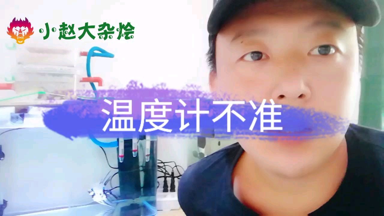 观赏鱼温度计你用对了吗
