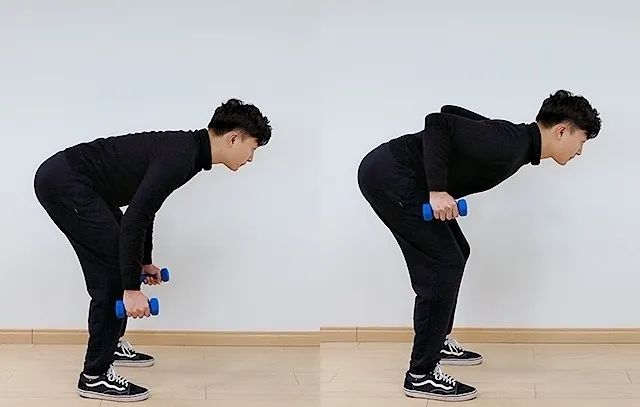 高效哑铃练背动作:打造健康强壮的背部