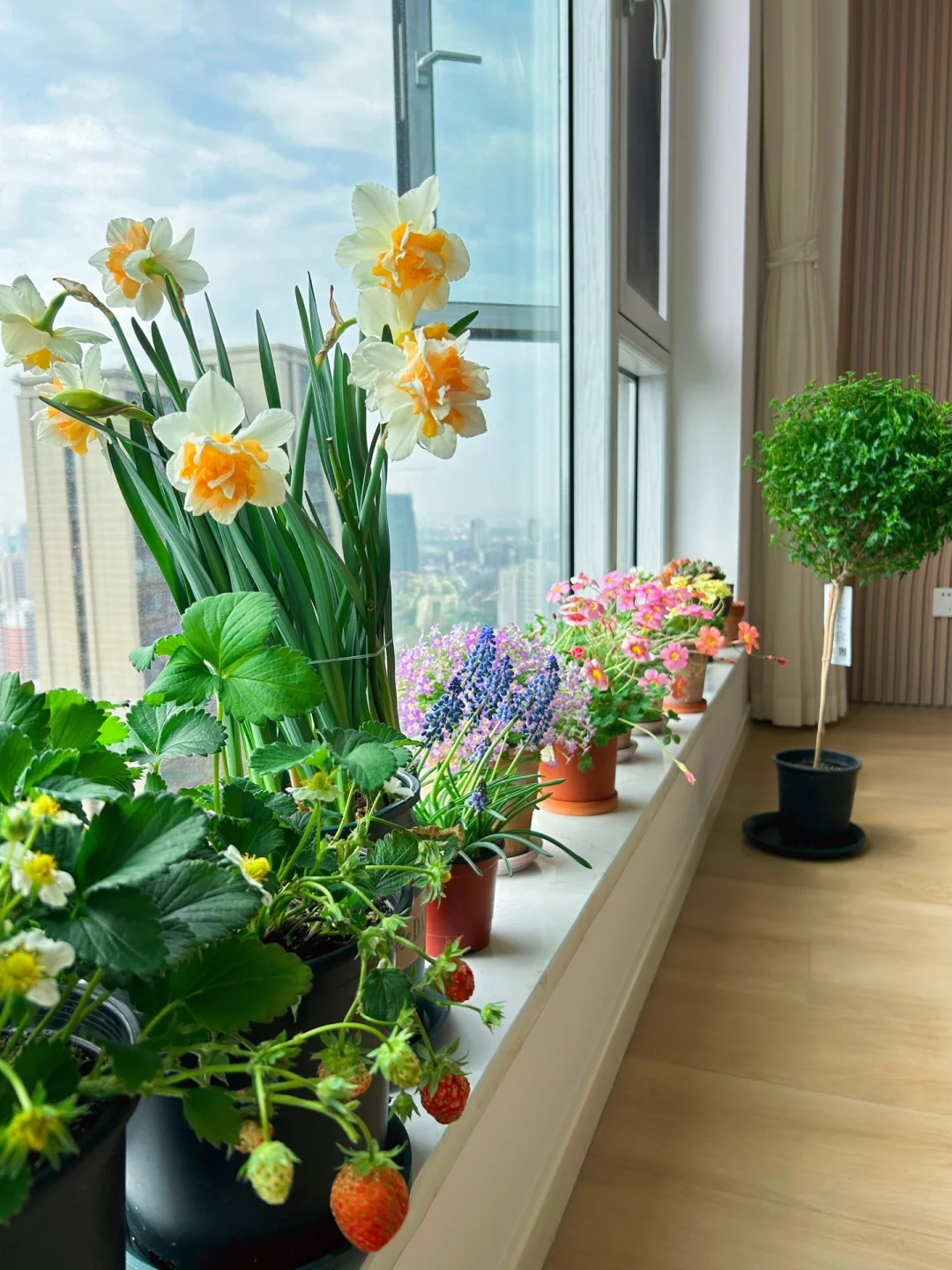 我发现,那些能够将花养得茂盛的家庭,即使并不富裕,也往往都是充满