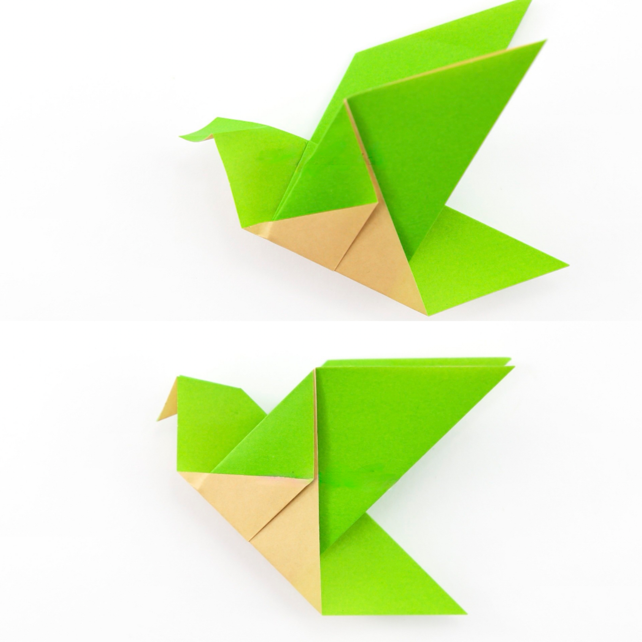 小鸟折纸简单图片