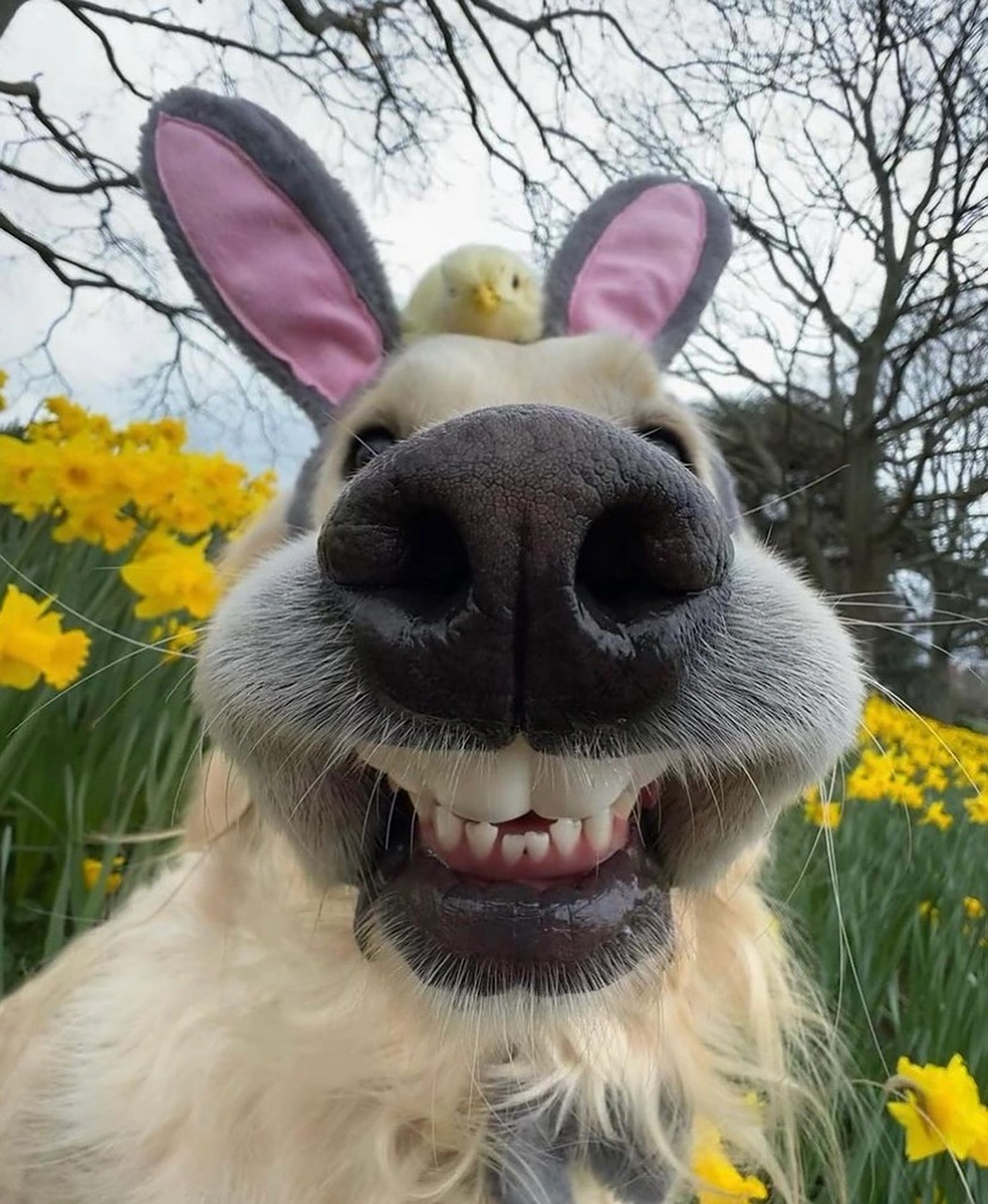 白羊座:天蝎座的冷漠让白羊座束