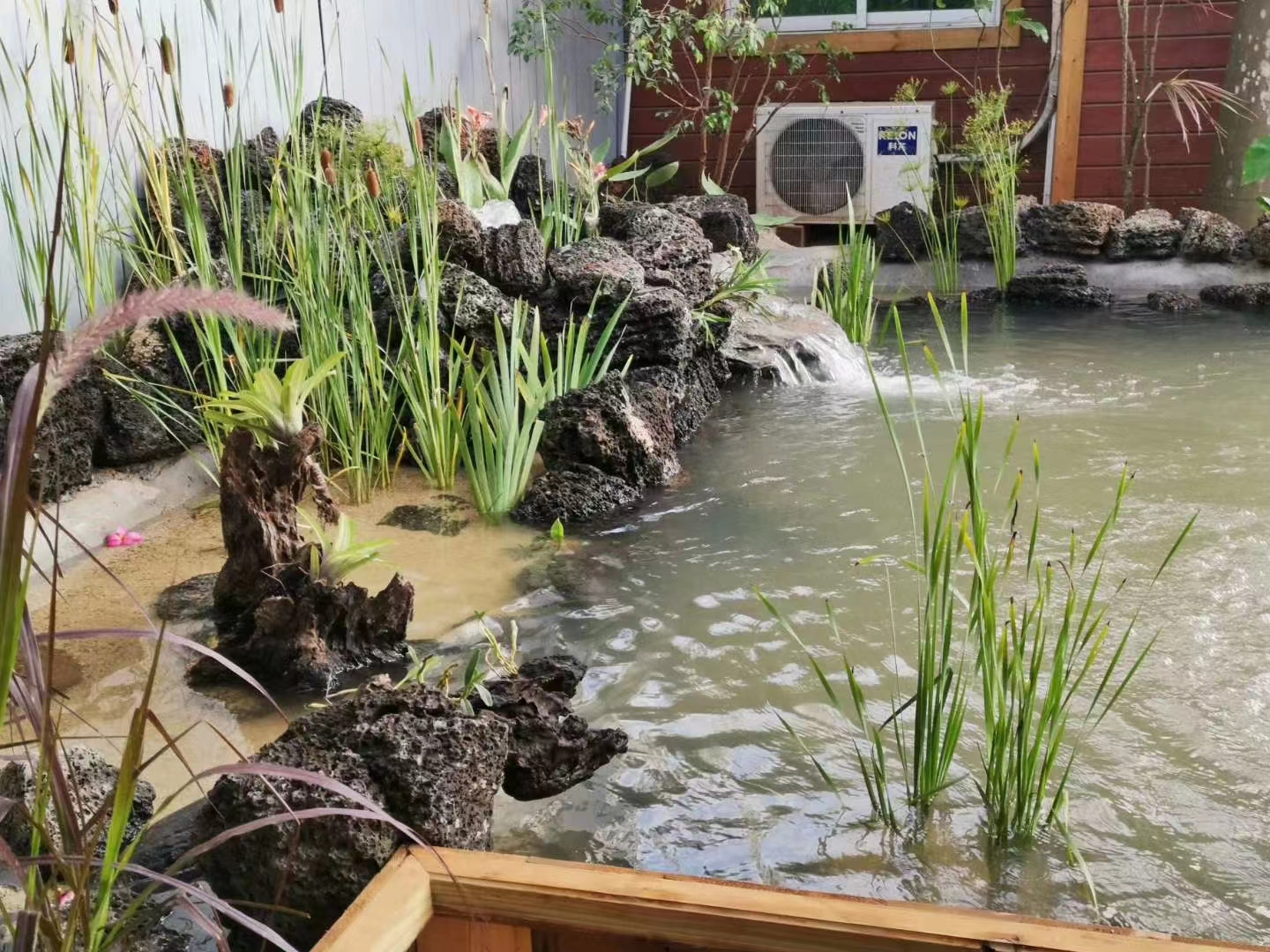 景观鱼池水处理十大方式全在这里