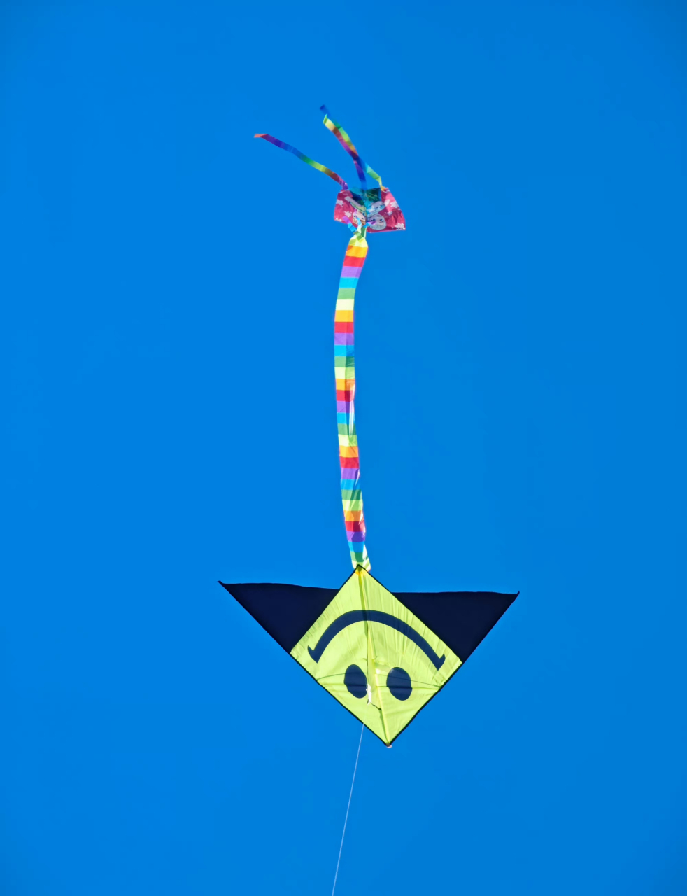 天上风筝在天上飞 周末,深圳莲花山公园内,各种风筝翩翩起舞,好不热闹