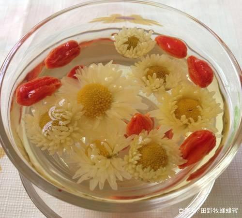 菊花茶可以泡蜂蜜喝吗?蜂蜜菊花茶的功效与作用?