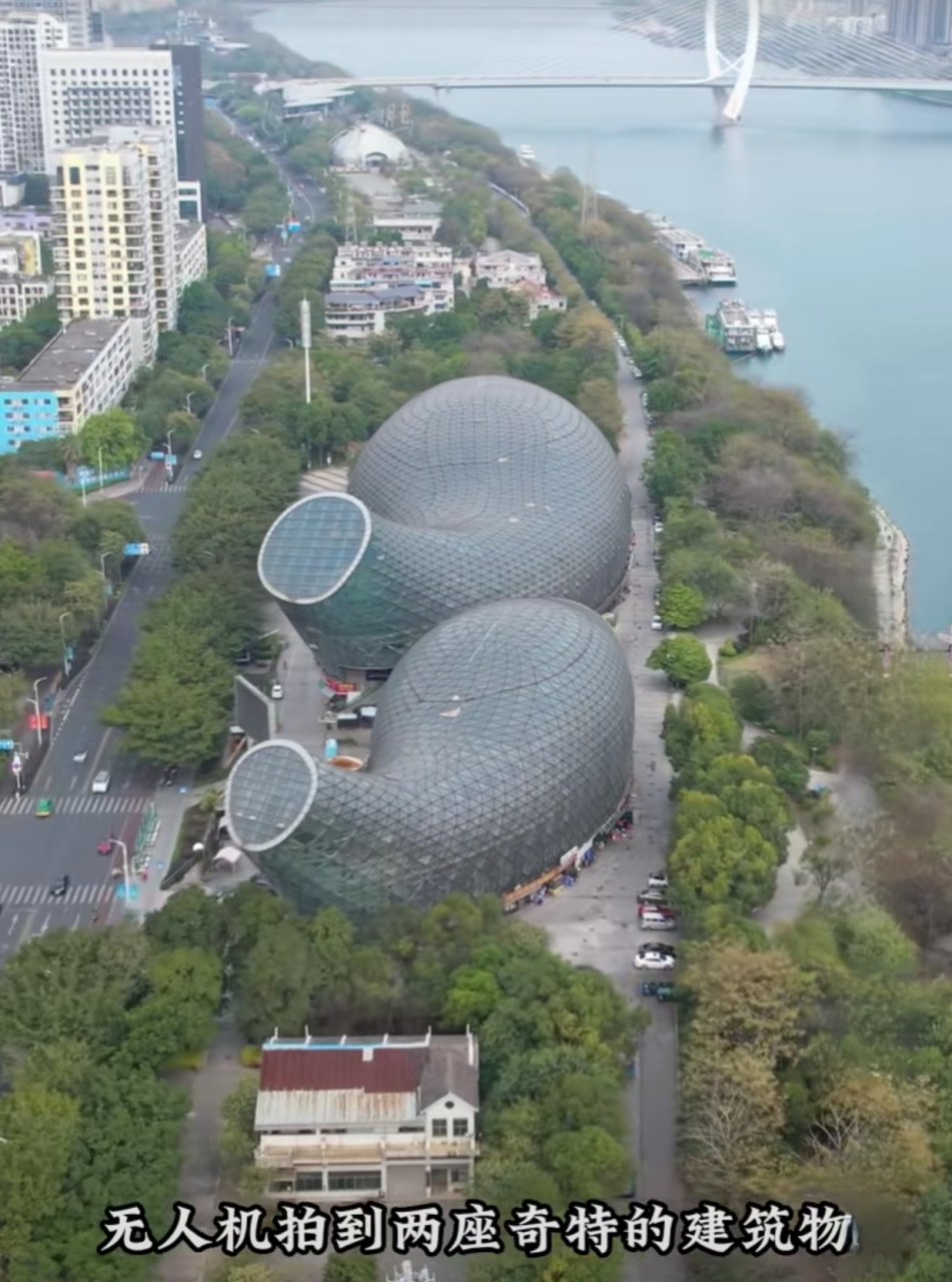 广西柳州的奇葩建筑,耗资3亿打造,概念设计"双鱼"造型,你觉得它像什么