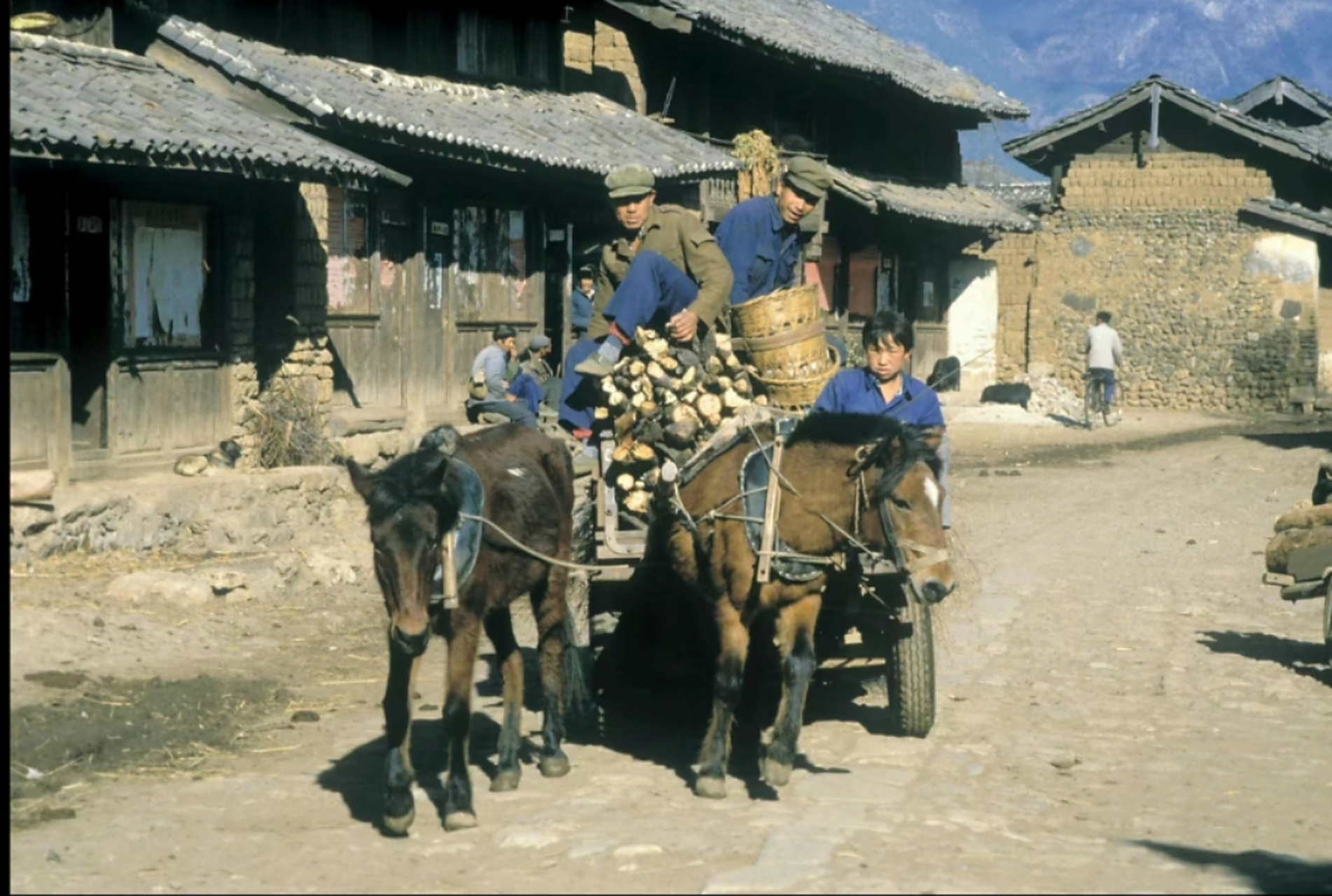 1985年,云南丽江,用马车拉货的农民,两只小矮马拉着满满一车货物,车上