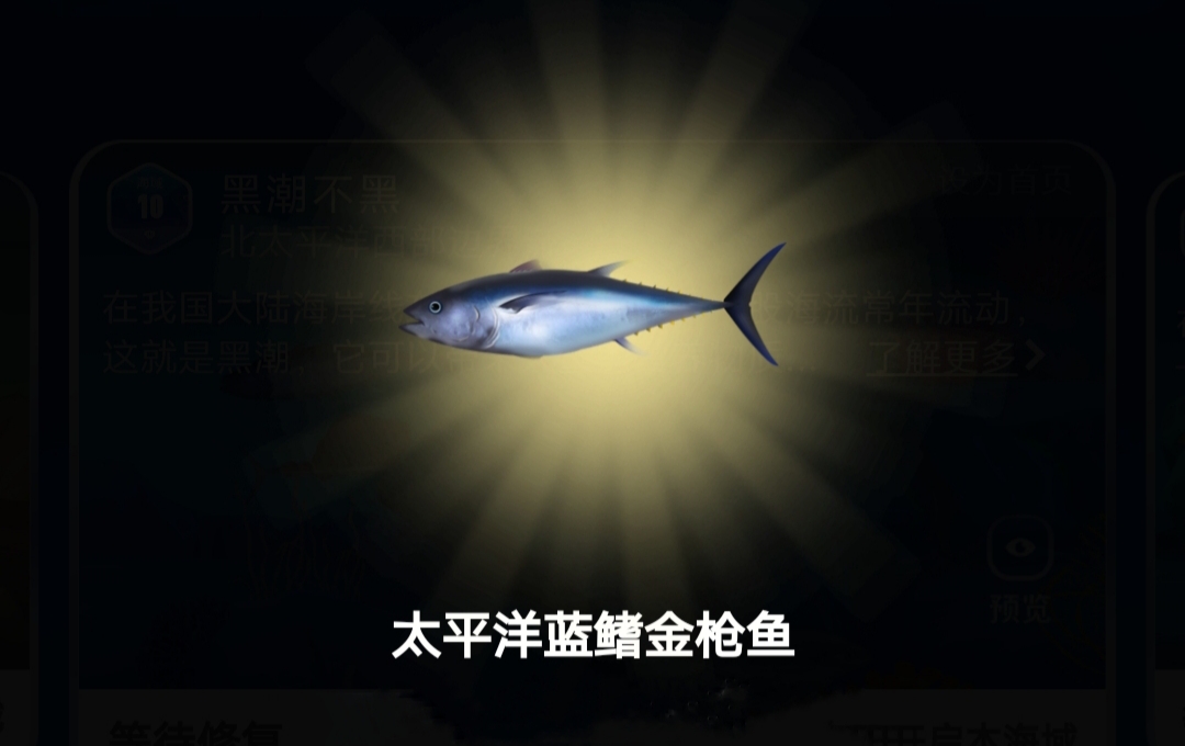 太平洋藍鰭金槍魚