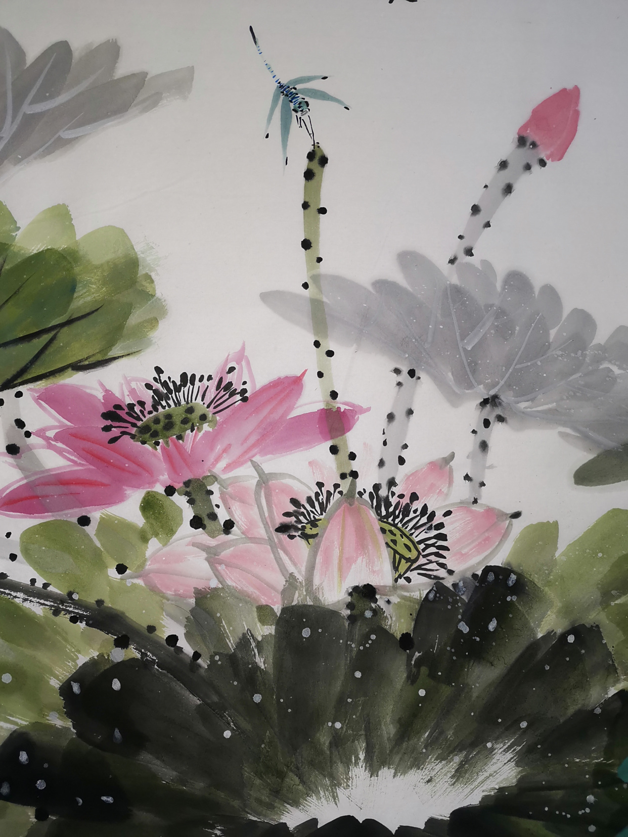 陈文赞国画写意花,映日荷花别样红