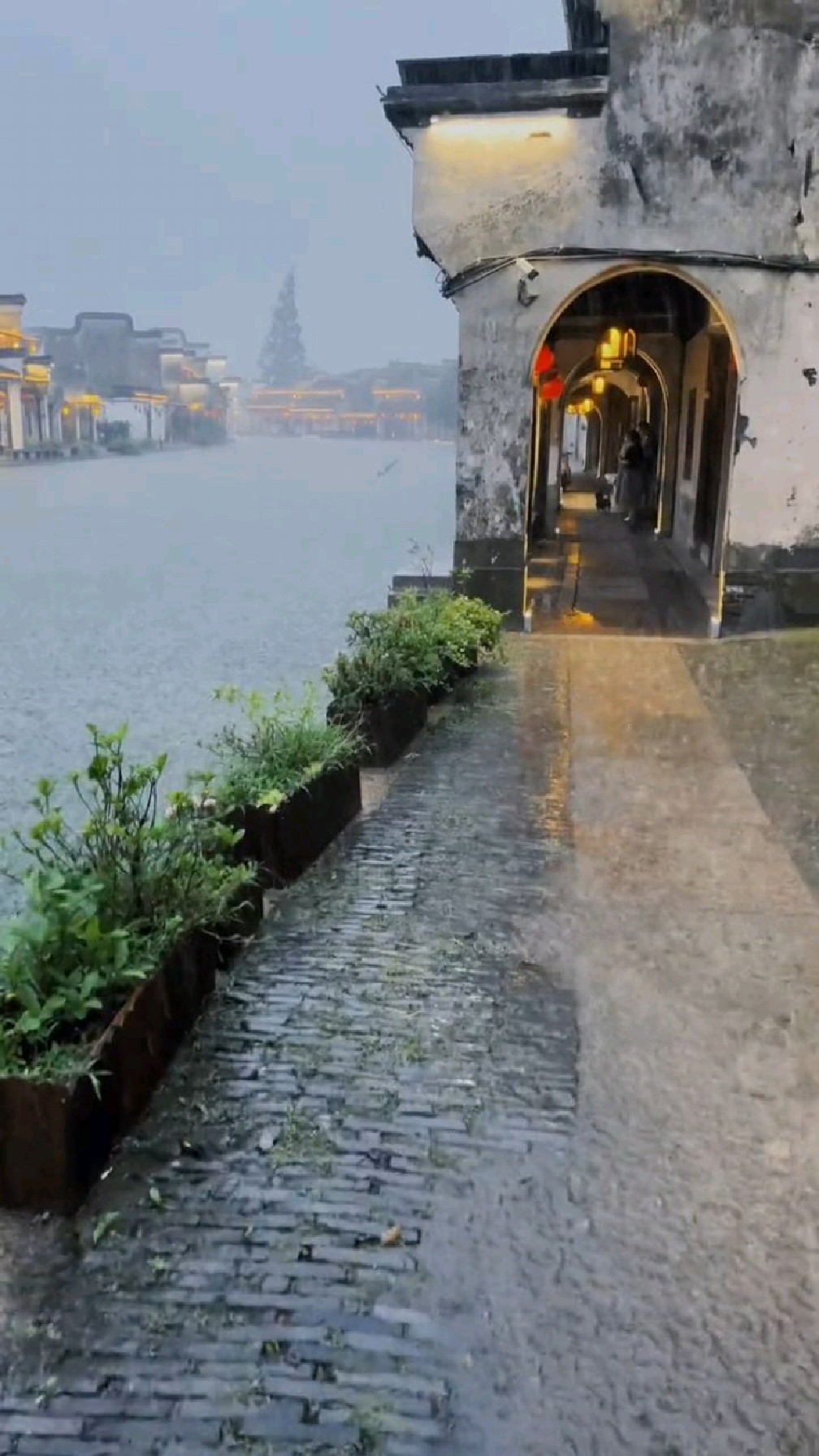 一身诗意南浔雨,唯美江南七月天.-度小视