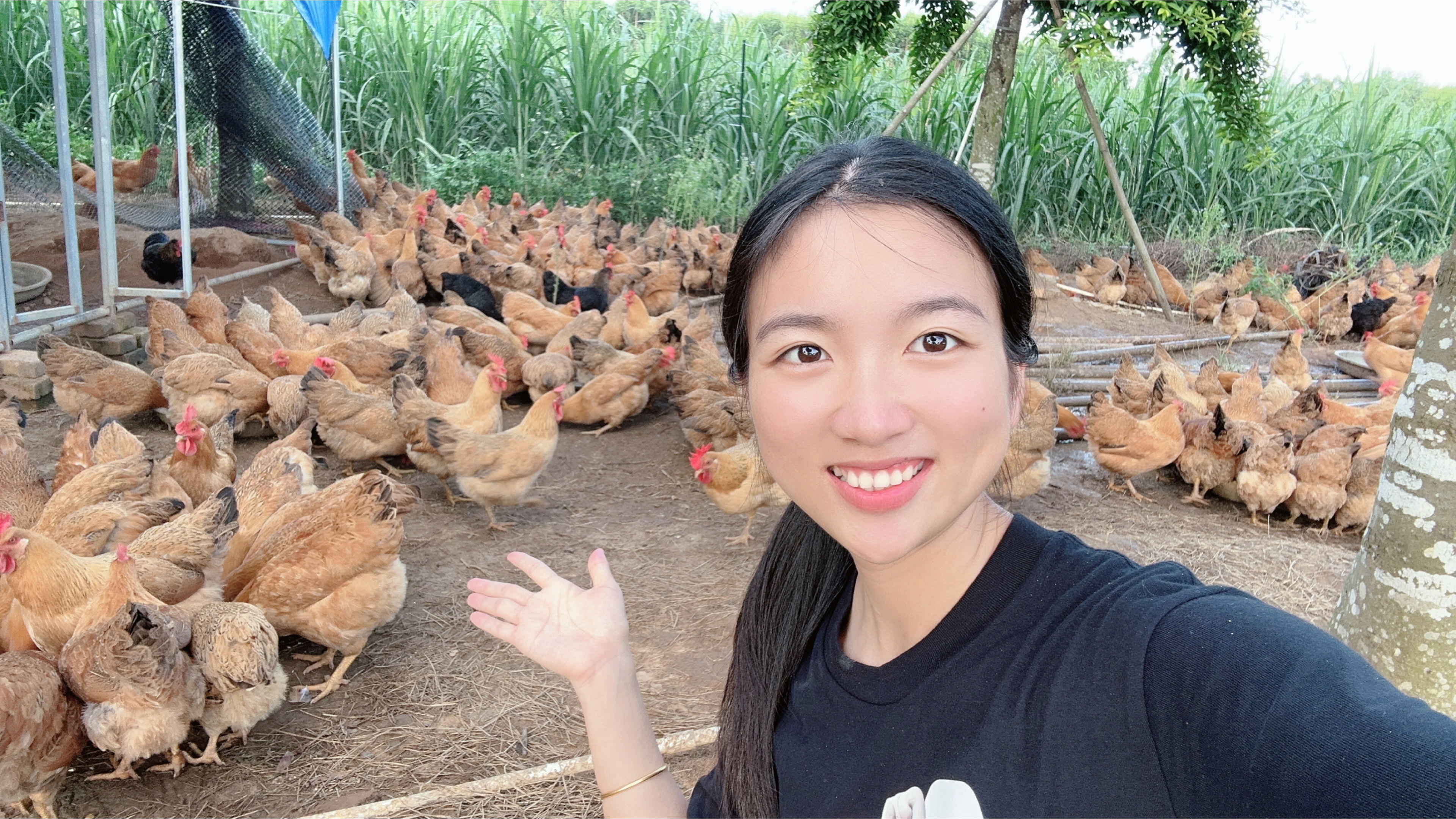 农村小伙娶村花赚大了,丈母娘帮忙带娃,老丈人还给钱创业养鸡