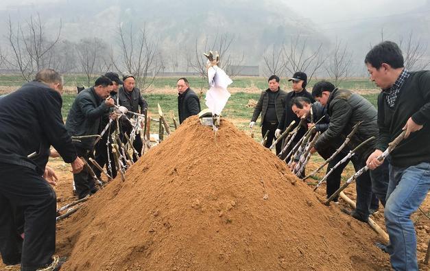 "土葬,火葬"不要争,农村丧葬改革正式开始,火葬将取代土葬?