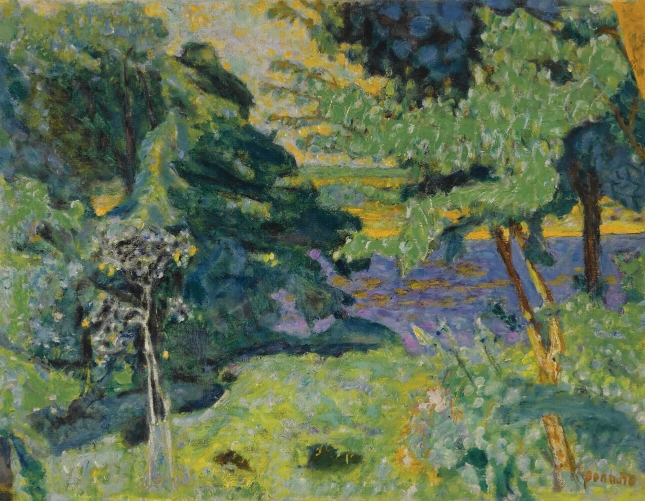 纳比派伯纳德风景