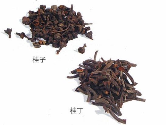 桂丁与桂子的差异,用好这种佐料提升后香层次感