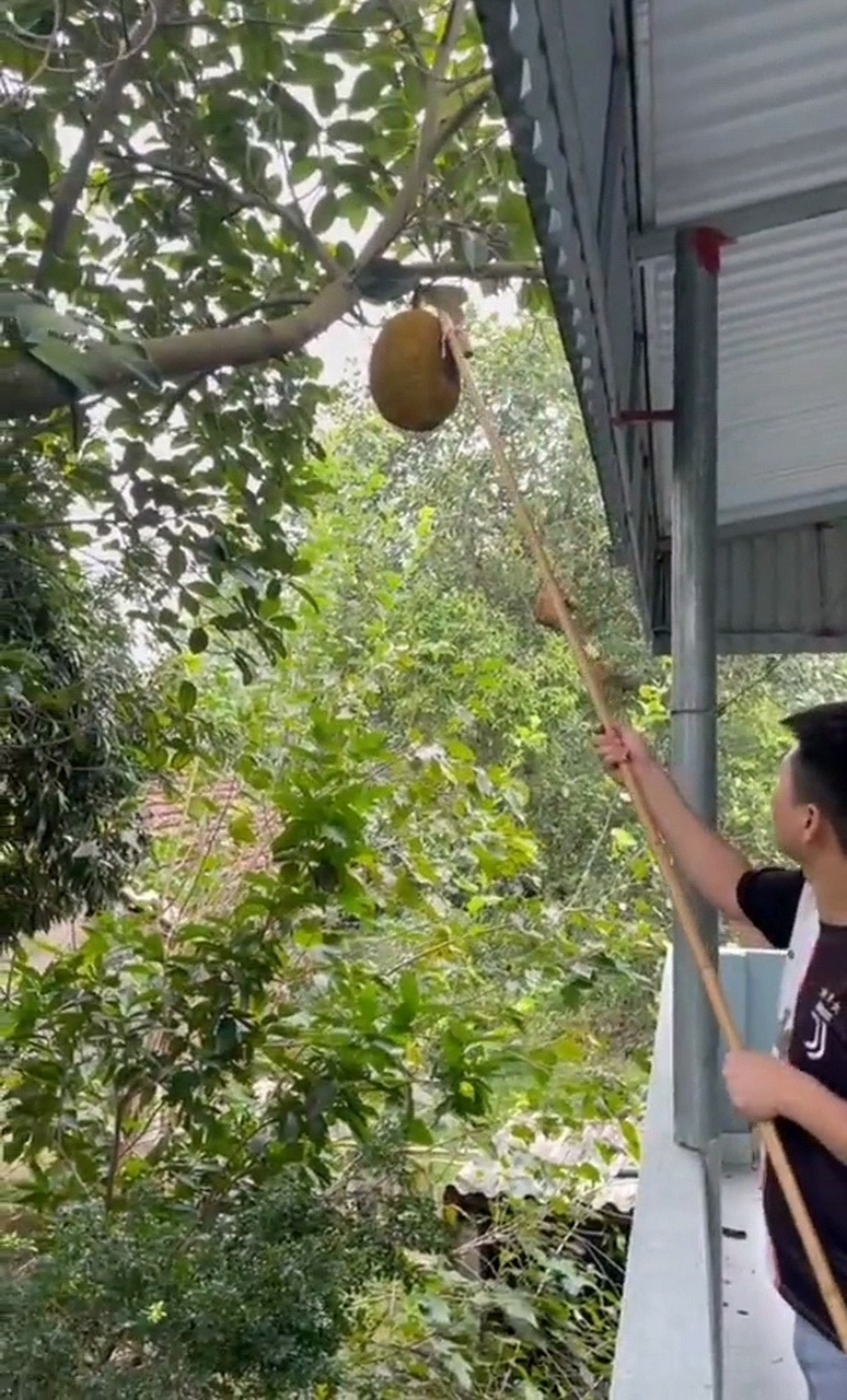 白忙活了一场,真是太可惜了!