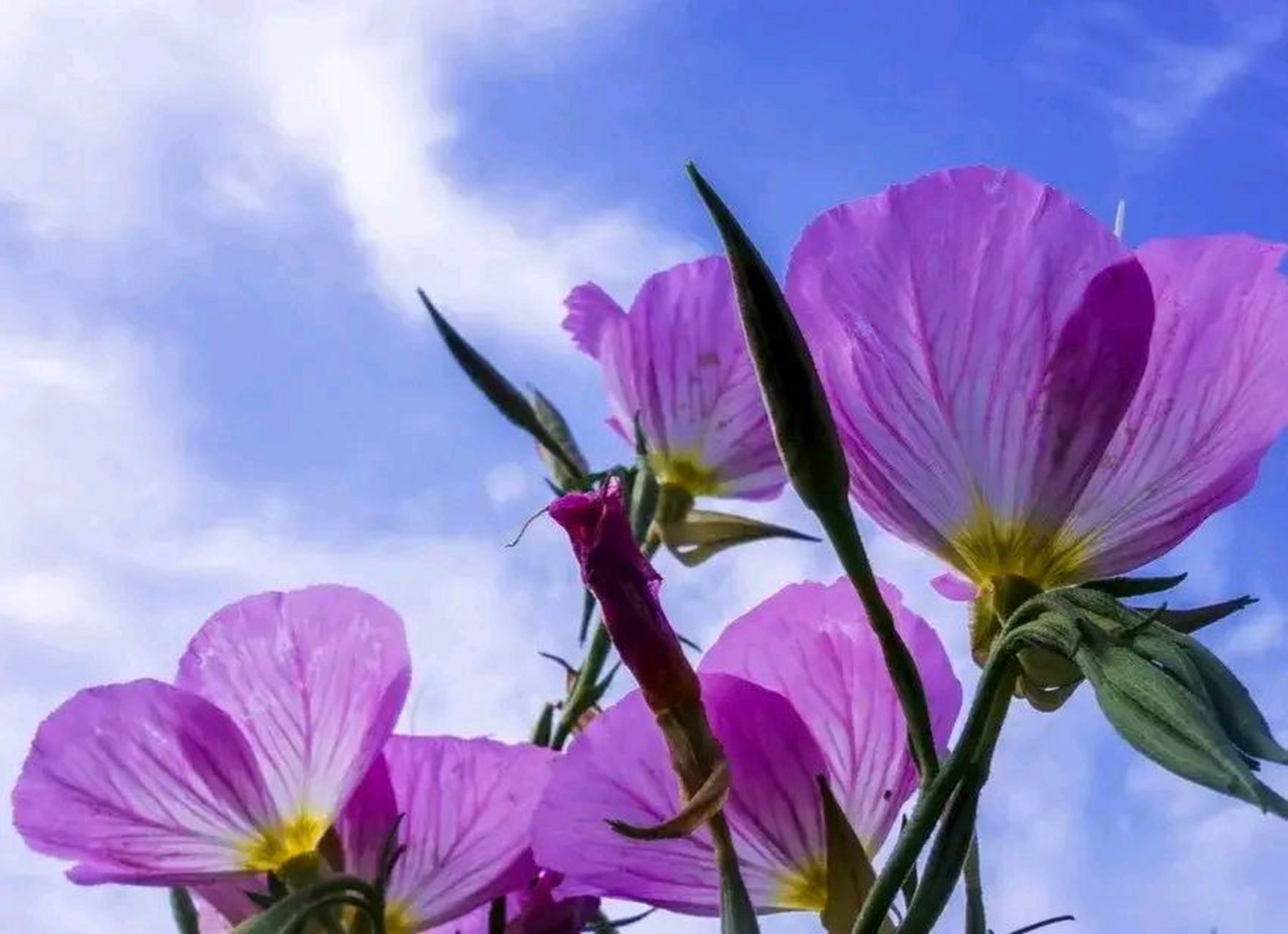 今天早上先生去晨跑了,他的电话响了,我一看是个陌生号码,就接了,一个