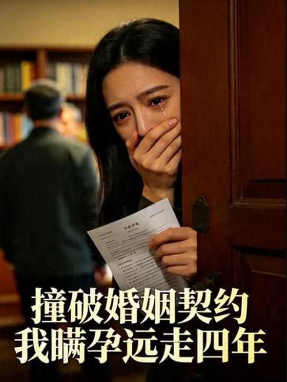 撞破婚姻契约，我瞒孕远走四年