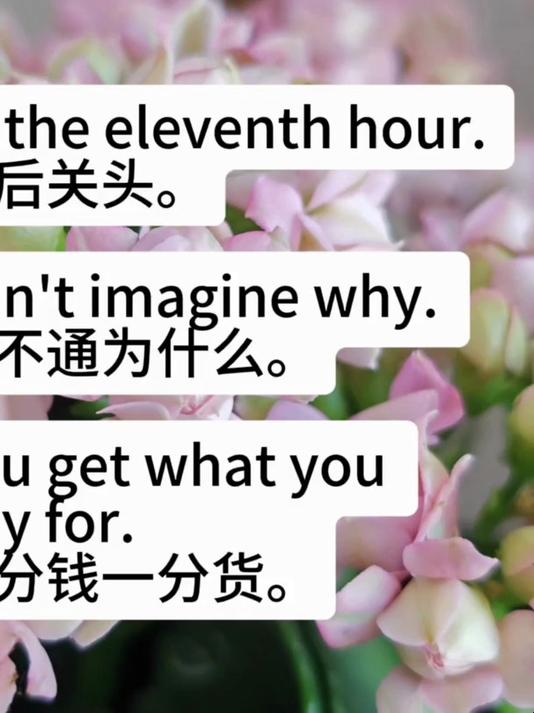 为什么的英语怎么说山西焦煤贴吧为什么在线