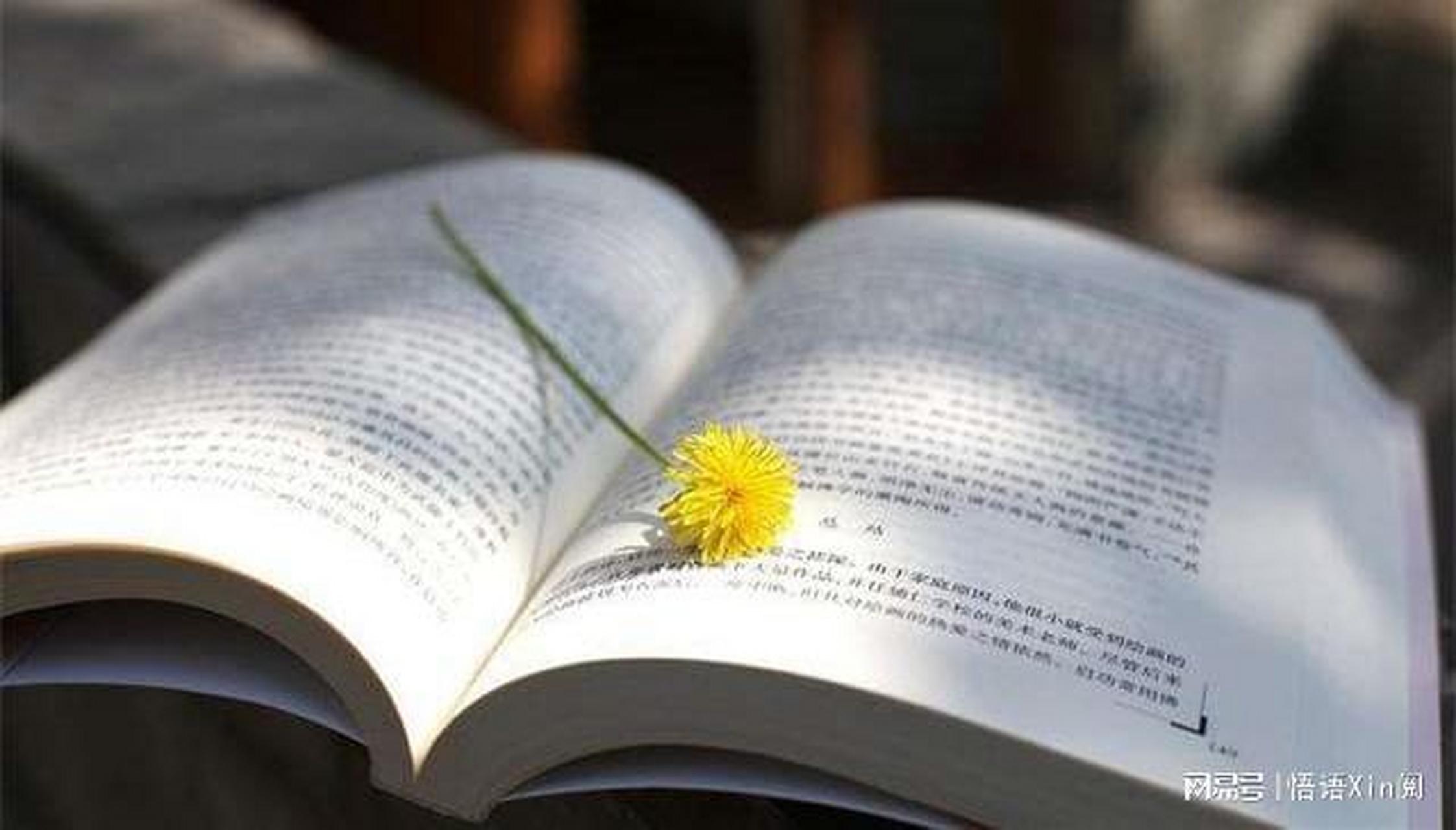 读万卷书不如行万里路, 行万里路不如阅人无数,阅人无数不如踏踏实实