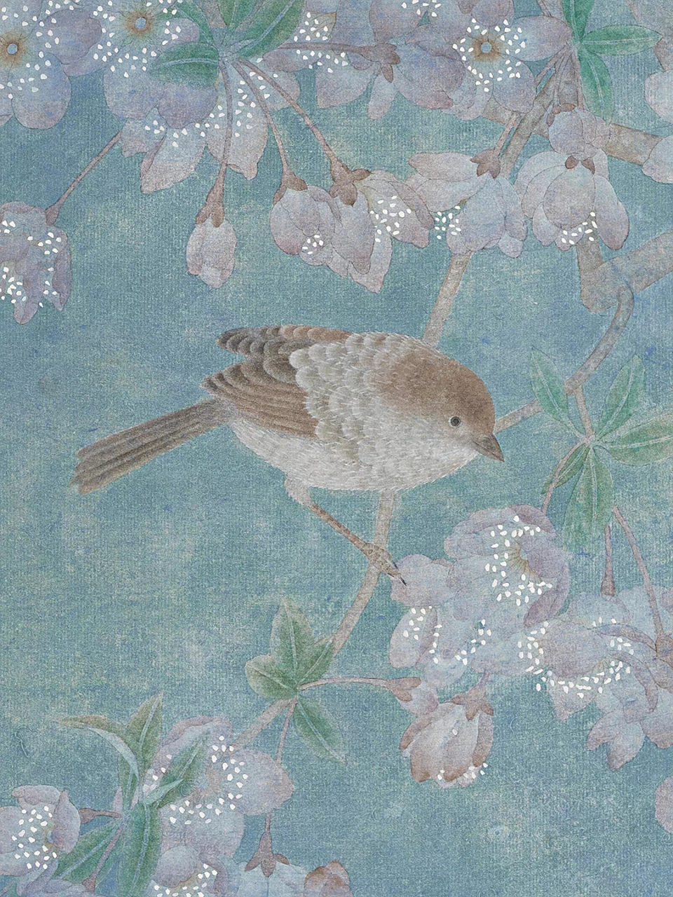 绘画欣赏 江宏伟作品61垂丝海棠  纸本设色67×46cm 676767