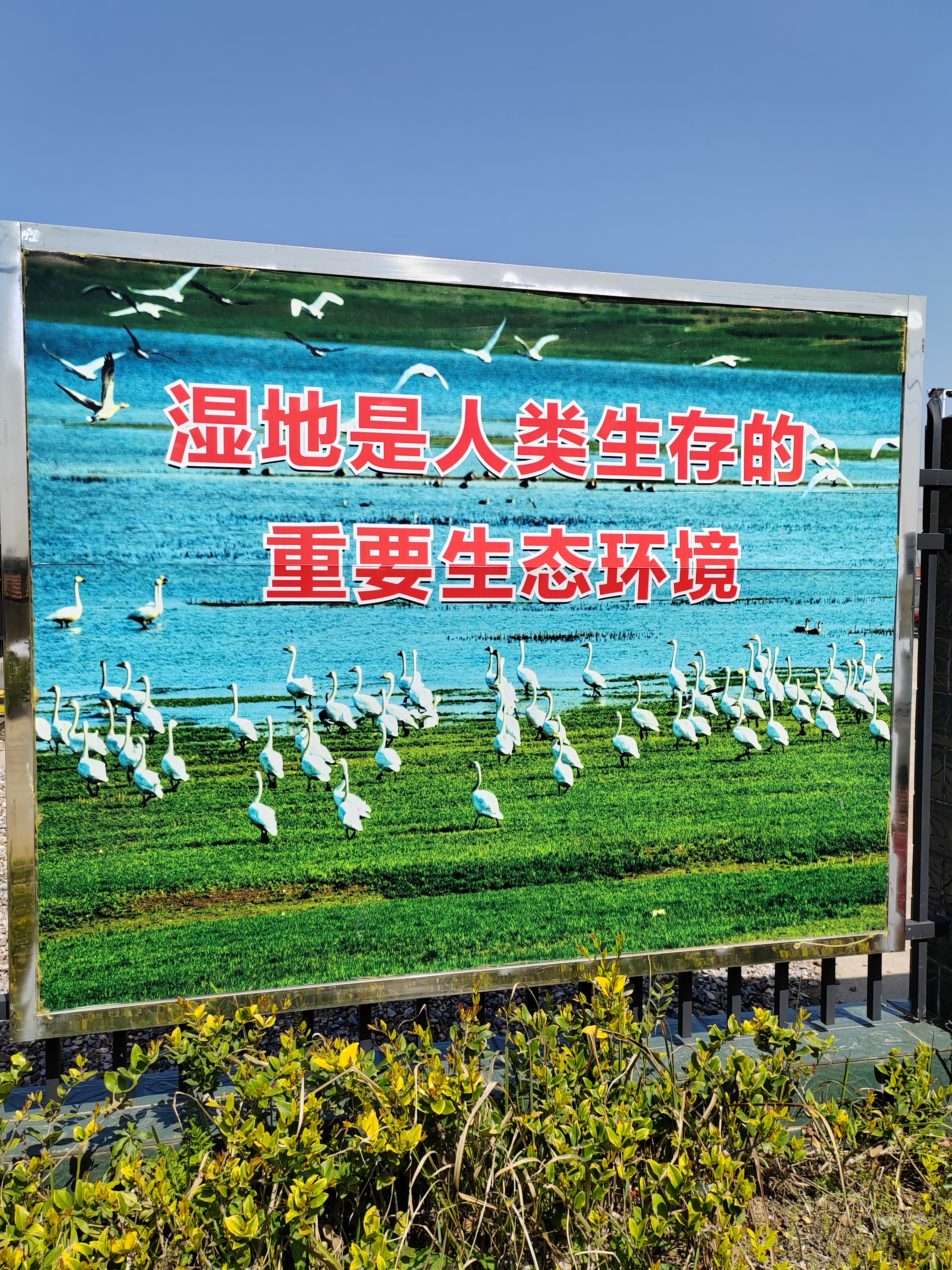 湖北省龙感湖国家级湿地保护区